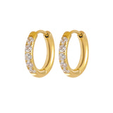 Fashionable Stainless Steel Zircon Accent Earrings Niche Designer Style