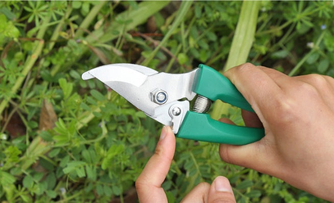 Gardening shears held by a hand with a green handle against a blurred green background