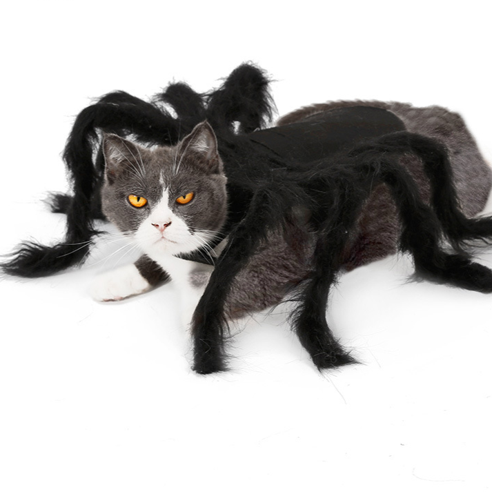 Halloween Pet Spider Costume Cat Dog Spooky Furry Dress Up Outfit