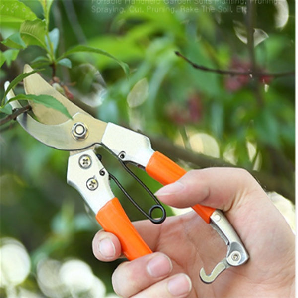 Hand holding orange and silver gardening shears with blurred green foliage in the background