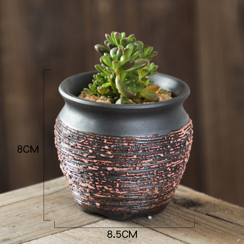 Small potted plant in a textured pot with dimensions on a wooden surface