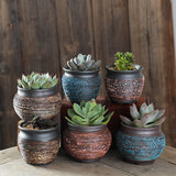 Set of six succulents in rustic ceramic pots on a wooden surface with a wooden background.