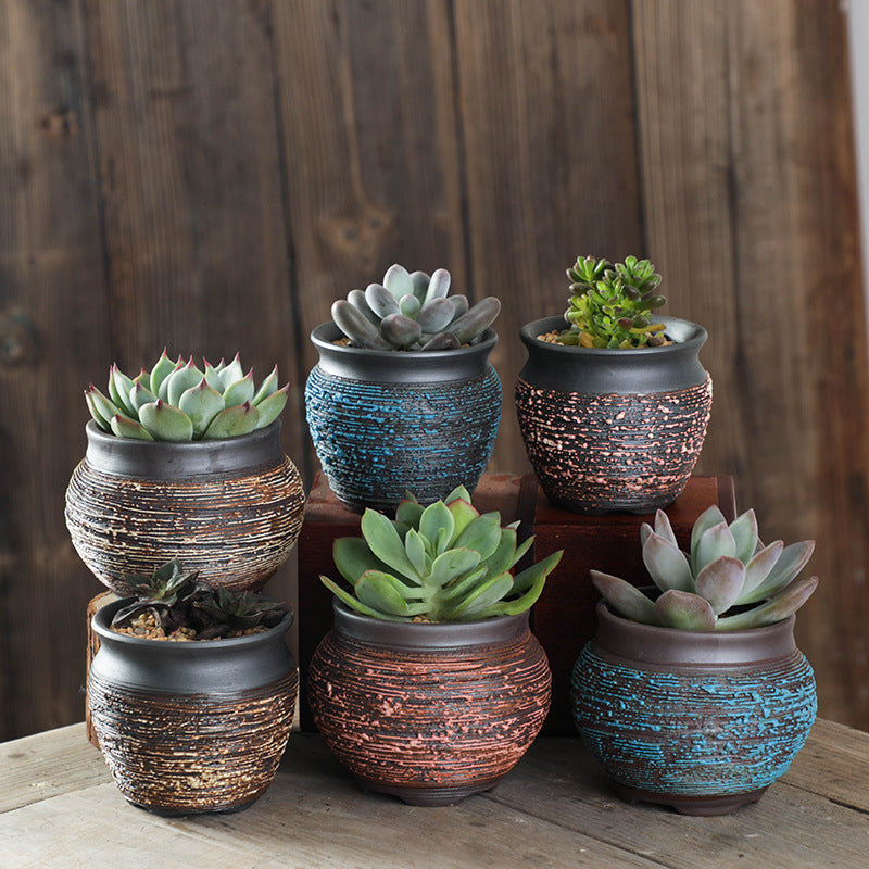 Set of six succulents in rustic ceramic pots on a wooden surface with a wooden background.