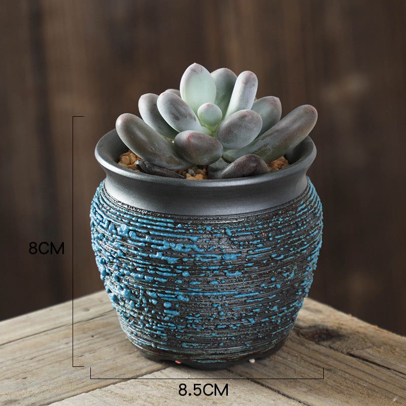 Potted succulent plant in a textured blue pot on a wooden surface with measurements indicated.