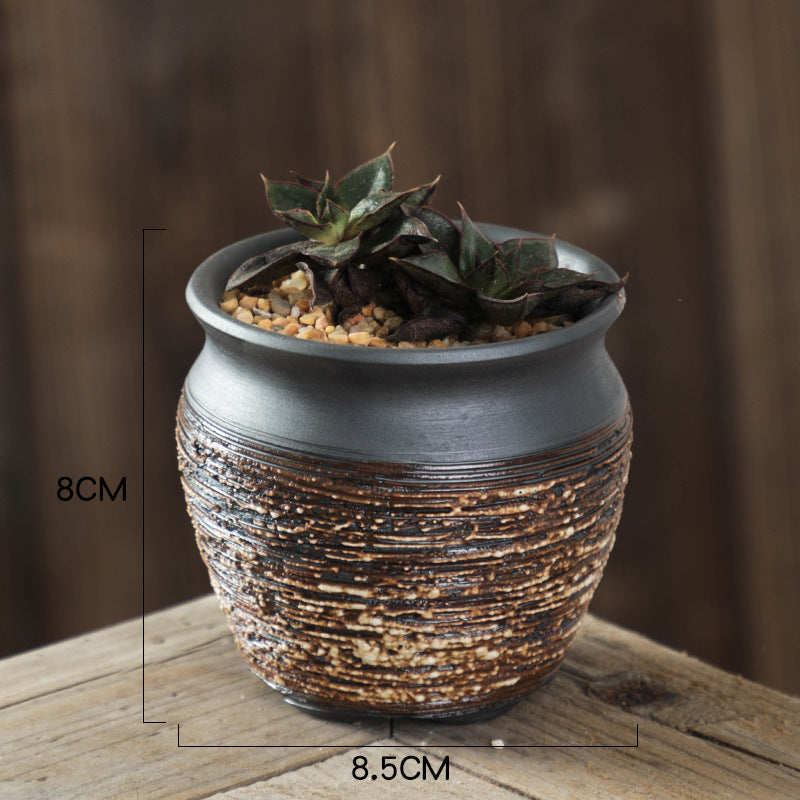 Small potted plant in a textured pot with dimensions on a wooden surface