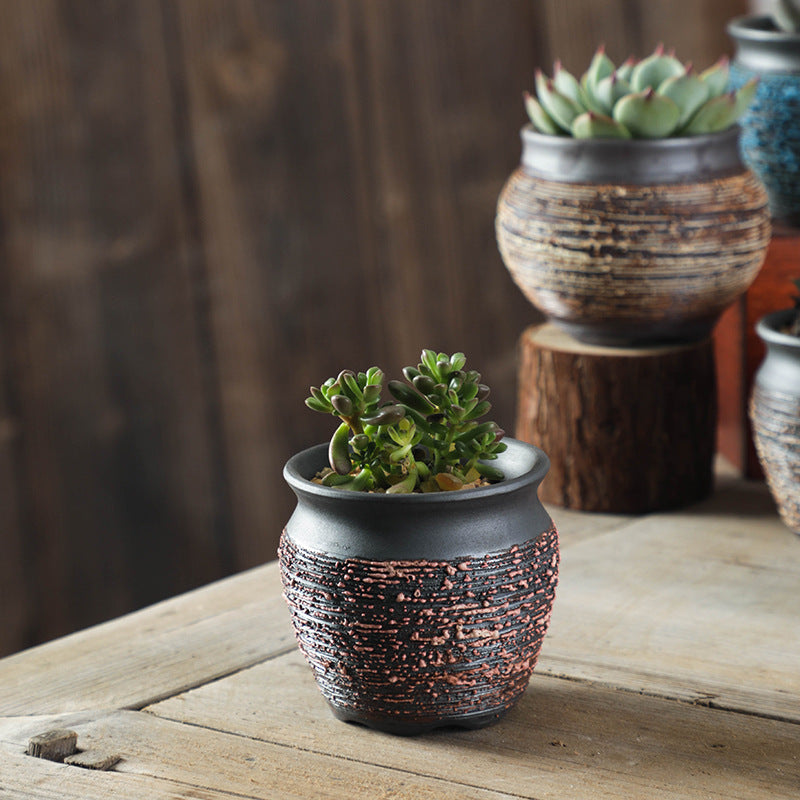 Small potted plant on a wooden surface with a rustic background