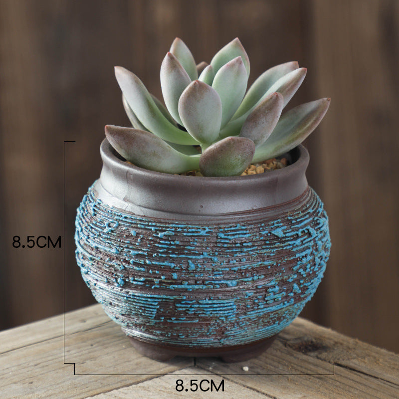 Potted succulent plant in a textured pot with measurement markings on a wooden surface.