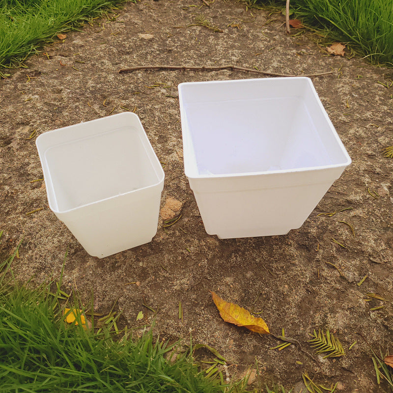 Two white square planters on a concrete surface with grass and leaves around.