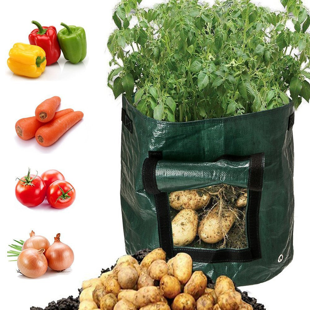 Green garden grow bag with harvested potatoes, surrounded by images of vegetables on a white background.