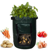 Black grow bag with plants, carrots, tomatoes, potatoes, and onions on a white background