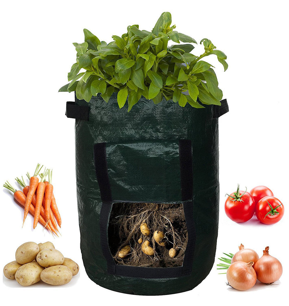Black grow bag with plants, carrots, tomatoes, potatoes, and onions on a white background