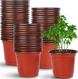 Stacks of red and brown plant pots with a single green potted plant on a white background