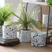 Terrazzo-patterned planters with green plants on a wooden surface