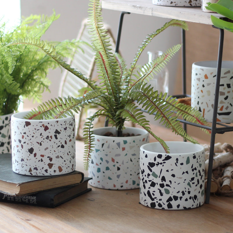 Terrazzo-patterned planters with green plants on a wooden surface