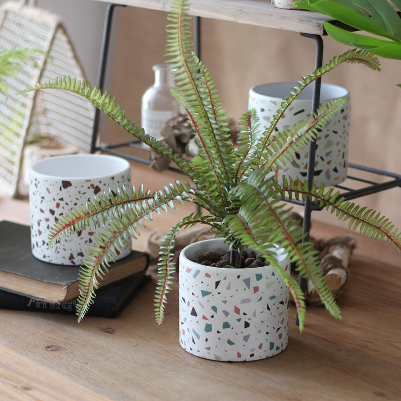 Potted fern plant in a terrazzo-patterned pot on a wooden surface with decorative items in the background.