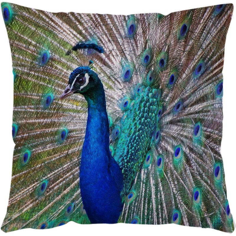 Decorative pillow with a peacock design featuring vibrant blue and green colors.