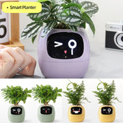 Smart planter with a face display and additional plant pots with similar designs.