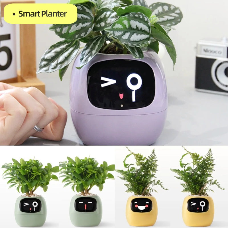 Smart planter with a face display and additional plant pots with similar designs.