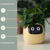 Smart plant pot with a face on a table, featuring text labels for smart maintenance, fun interaction, animated emoticons, and practical functions.