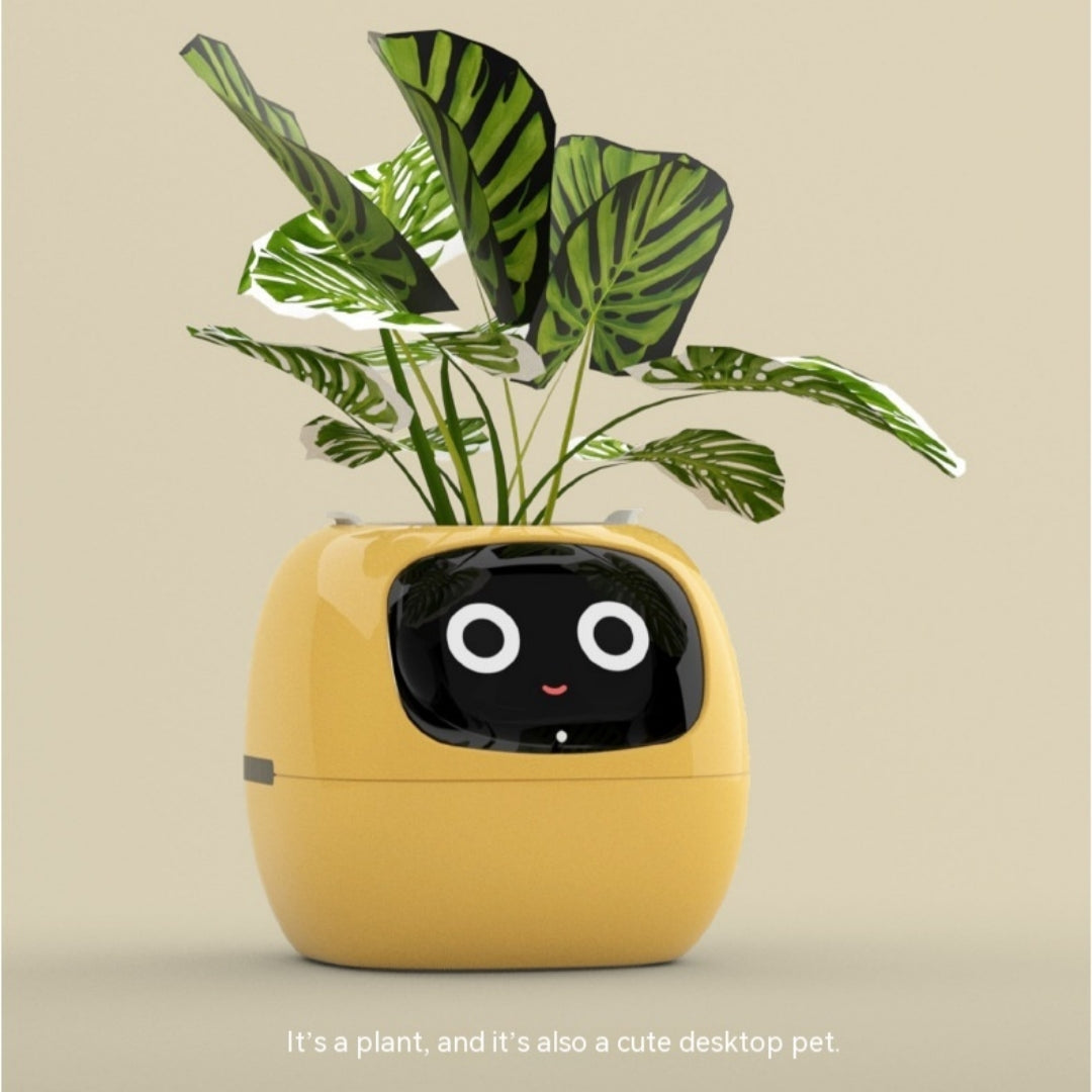 Yellow planter with a face design containing a plant on a beige background