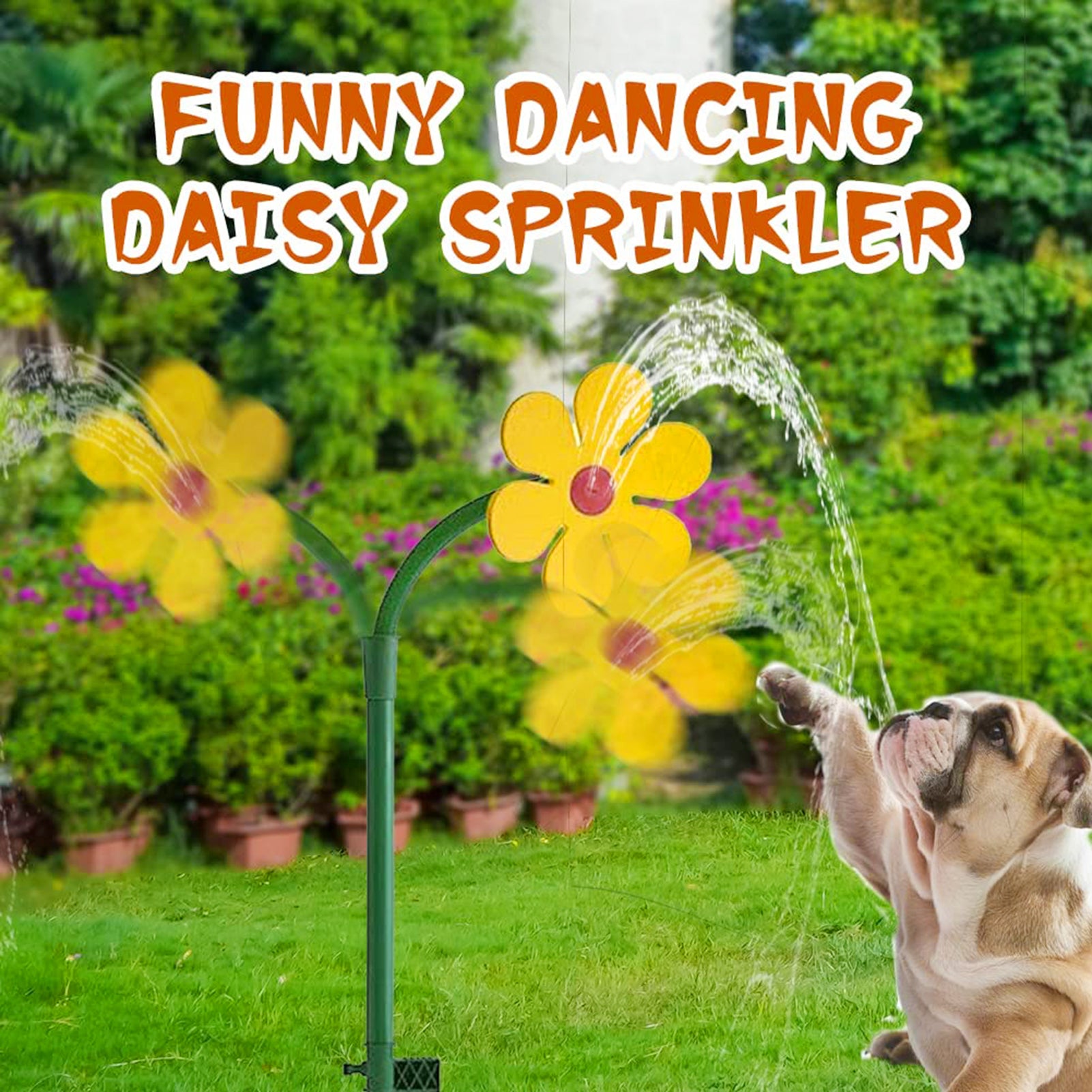 Funny dancing daisy sprinkler in a garden with a dog playing with it.