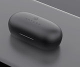 Black earbud case with 'HAYLOU' branding on a gray surface