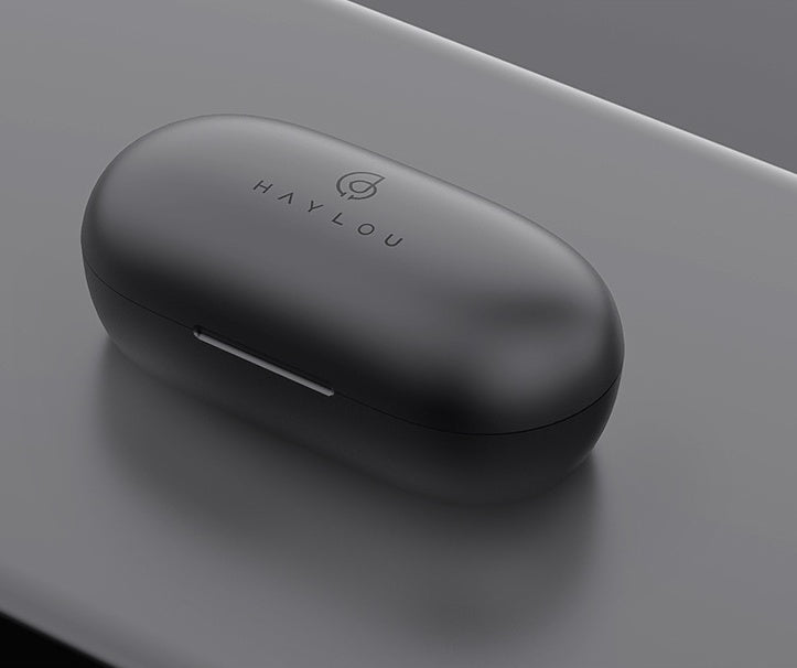Black earbud case with 'HAYLOU' branding on a gray surface