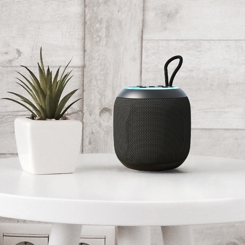 Black portable speaker on a white surface with a plant in the background