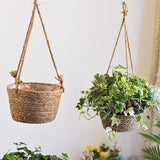 Two hanging planters with plants against a light background
