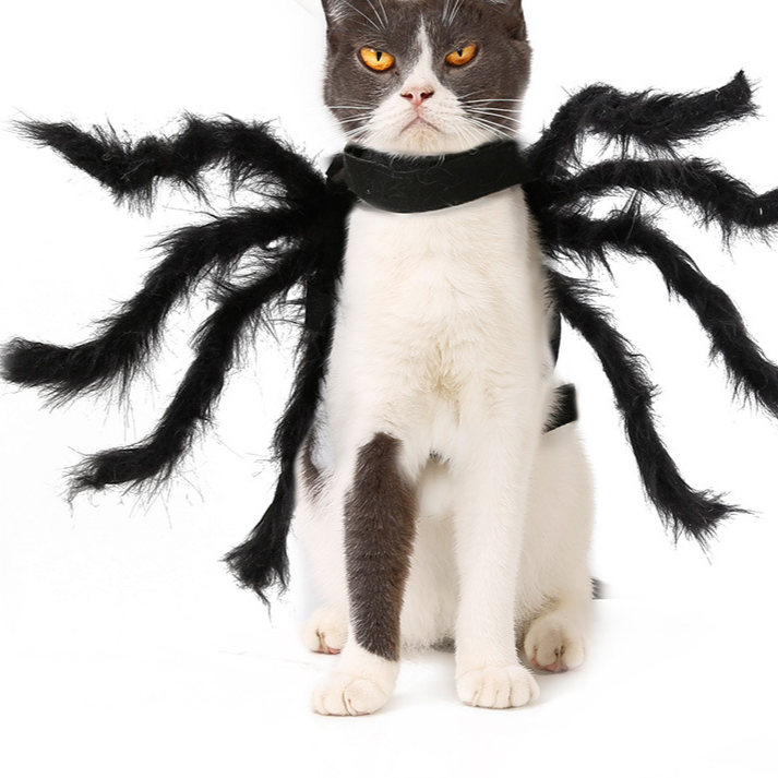Halloween Pet Spider Costume Cat Dog Spooky Furry Dress Up Outfit