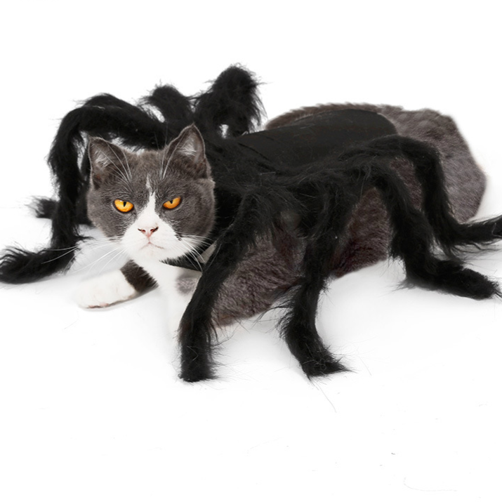 Halloween Pet Spider Costume Cat Dog Spooky Furry Dress Up Outfit