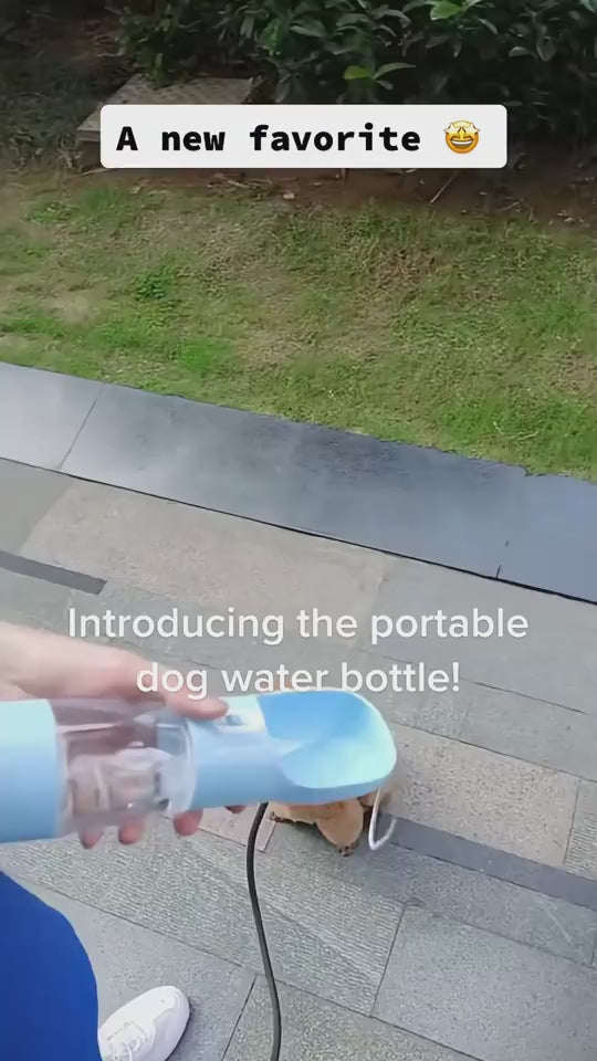 Load video: 1